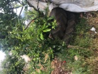 Saklıkentte müstakil iki katlı ev 11