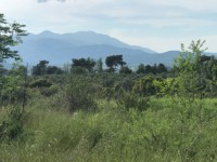 Fethiye saklıkentte organik  bahçe 74000 metre 24