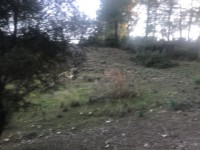 Seydikemer Seydilerde 6423 metre zeytinlik 9