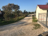 Saklıkette zeytinlik 17