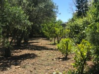 Fethiye Karaçulha ful Deniz manzaralı 541 metre arsa 26