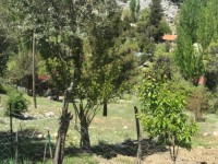 Antalya kaş yayla aklarda müstakil ev 18