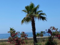 Antalya finikede Deniz ve yol olan önü hiç kapanmayan imarlı 34500 metre Arsa 10