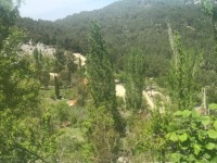 Antalya kaş yayla aklarda müstakil ev 21