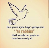 Fethiye Karadere ünlü Patara pilajına yakın 78 dönüm Zeytilik