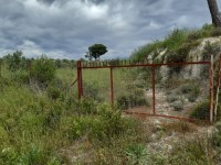 Saklıkette 27250 metre zeytinlik 9