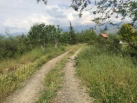 Fethiye saklıkentte organik  bahçe 74000 metre 31