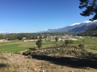 Saklıkent merkezde zeytinlik