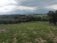 Fethiye saklıkette manzaralı 2078 metre arsa 14